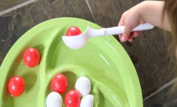 مونته سوری- تقویت مهارتهای دیداری (هماهنگی چشم و دست) - بازی با توپ پینگ پونگ