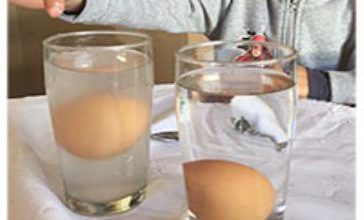 آزمایش چگالی آب با تخم مرغ