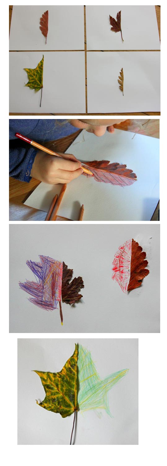 مونته سوری (مهارتهای علوم) - آیینه سازی برگ ها و تقویت خلاقیت کودک